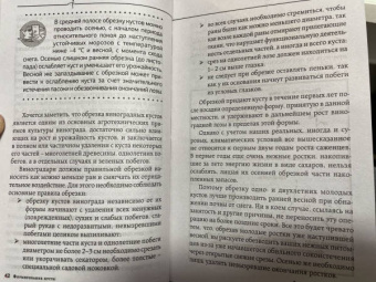 Виктор Жвакин: Виноград, голубика, малина, смородина и другие любимые ягоды. Особенности выращивания своими руками