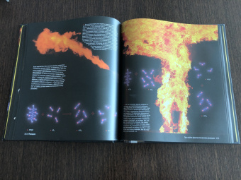 Теодор Грэй: Реакции