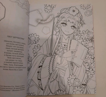 Anime Art. Красавицы Поднебесной. Книга для творчества в стиле аниме и манга