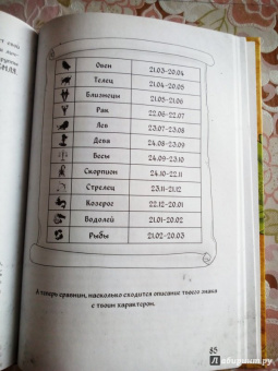 Уайлд, Уайлд: Магия на каждый день