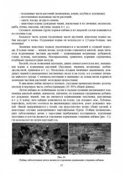 Анатолий Суворов: Основы полевых наблюдений. Следы жизнедеятельности зверей и птиц. Учебник для СПО