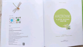 Натали Торджман: Насекомые и другие маленькие животные