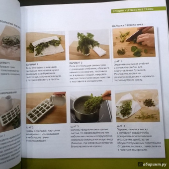 Карлота Маньес: 300 кулинарных техник. Вегетарианская кухня