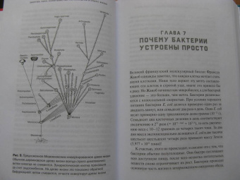 Ник Лэйн: Митохондрии и смысл жизни. Энергия, секс, самоубийство