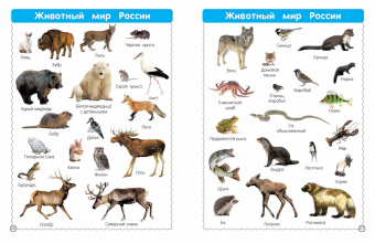 Валентина Дмитриева: Все-все животные