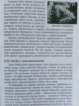 Сергей Воробьев: Краткая Библия. Ветхозаветные события от Сотворения мира до Рождества Христова