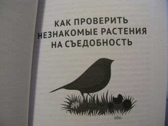 Михаил Вишневский: Лайфхаки на природе