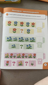 Книжка РАЗВИВАЕМ МЫШЛЕНИЕ. 2-4 года (45002)