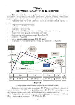 Анна Маслюк: Нормированное кормление животных при интенсивных технологиях. Практикум. Учебное пособие для вузов