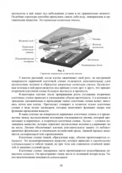Эржэна Имескенова: Ботаника с основами физиологии растений. СПО