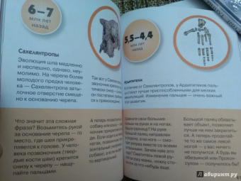 Алексей Хотылев: Как устроена Земля?