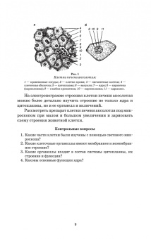 Степанов, Родина, Попкова: Животноводство. Практикум. Учебное пособие для СПО