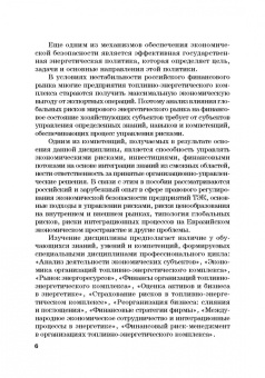Земсков, Лебедева: Экономическая безопасность и бизнес-риски предприятий топливно-энергетического комплекса