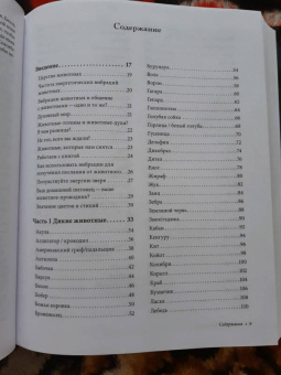 Мелисса Альварес: Как усилить свою энергию. 176 животных, которые станут вашими проводниками и хранителями