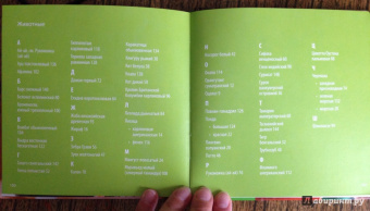 Блэйман, Истланд: Детеныши животных