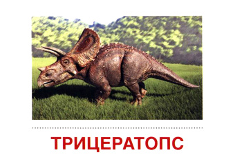 Демонстрационные картинки Динозавры, 16 раздаточных карточек с текстом