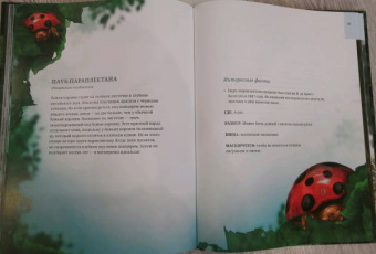 Лина Реншлебротен: Животные невидимки. Чудеса маскировки в дикой природе