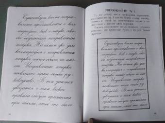 Д. Писаревский: Почерк. Каллиграфия. 113 практических упражнений