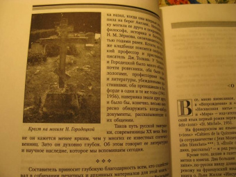 Надежда Городецкая: Остров одиночества. Несквозная нить