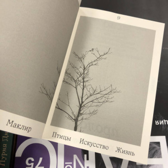 Кио Маклир: Птицы, искусство, жизнь. Год наблюдений