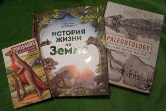 Катажина Баерович: История жизни на Земле