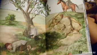 Елена Жданова: Сказки сибирских деревень