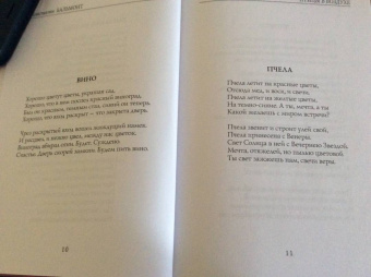 Константин Бальмонт: Птицы в воздухе