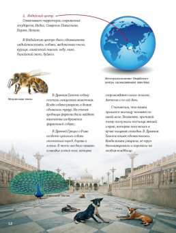 Ольга Соколова: Домашние питомцы и кто за них в ответе…