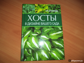 Наталия Кузнецова: Хосты в дизайне вашего сада
