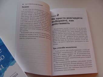 Дайк Ван: Как усмирить бурю эмоций. Навыки диалектико-поведенческой терапии для управления эмоциями