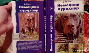 Олег Малов: Немецкий курцхаар. История. Стандарт. Содержание. Разведение. Испытания