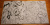 Волшебные цветы