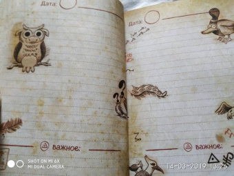 Гравити Фолз. ежеДНЕВНИК