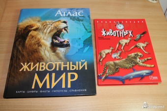 Марк Карвардин: Рекорды животных. Энциклопедия