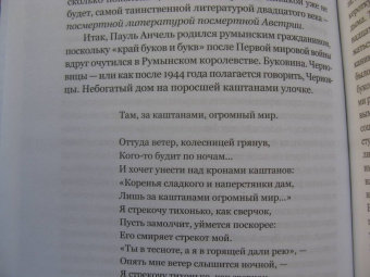Олег Юрьев: Писатель как сотоварищ по выживанию. Статьи, эссе и очерки о литературе и не только