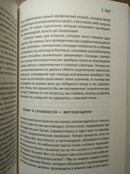 Ник Лейн: Вопрос жизни