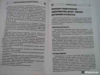 Басангова, Мартыненко, Баранова: Специальная индивидуальная программа развития для детей с нарушением интеллекта