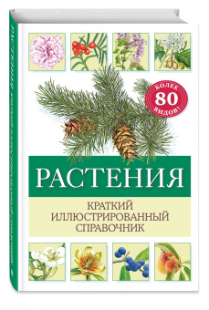 Хольгер Хааг: Растения. Краткий иллюстрированный справочник