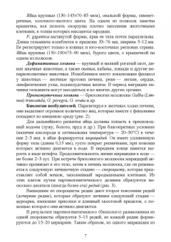 Паразитарные болезни свиней
