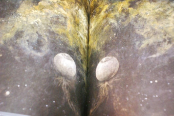 Роберт Чамберс: Король в желтом