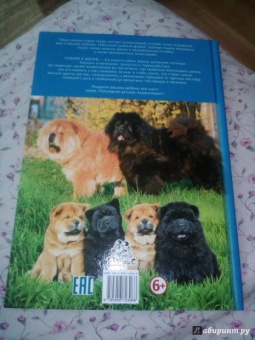 Собаки и щенки