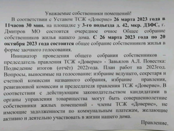 Устинова, Романова, Михайлова: Котики&Детектив