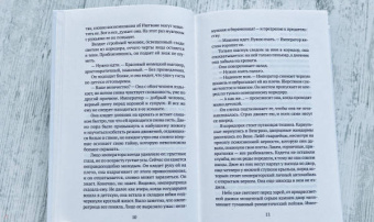Эми Мейерсон: Несовершенства