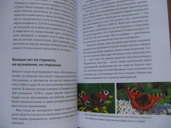 Зегерер, Розенкранц: Великая гибель насекомых. Что это значит и что нам с этим делать