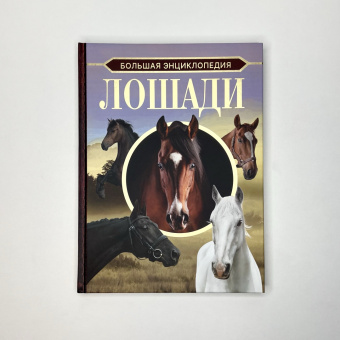 Анна Спектор: Большая энциклопедия. Лошади