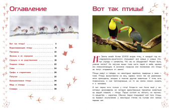 Птицы