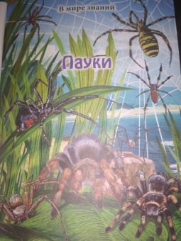 Мария Куруськина: Энциклопедия. Пауки