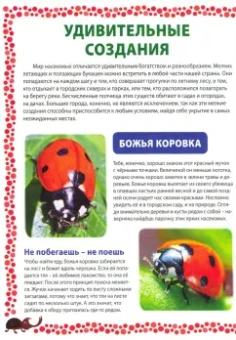 Большая книга о насекомых. Иллюстрированная энциклопедия