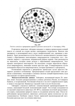 Латыпов, Волков, Тимербаева: Паразитология и инвазионные болезни животных. Том 2