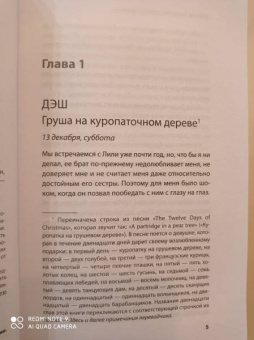 Левитан, Кон: Двенадцать дней Дэша и Лили